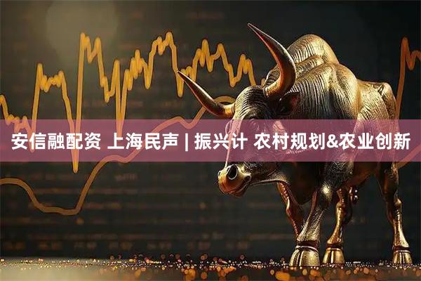 安信融配资 上海民声 | 振兴计 农村规划&农业创新