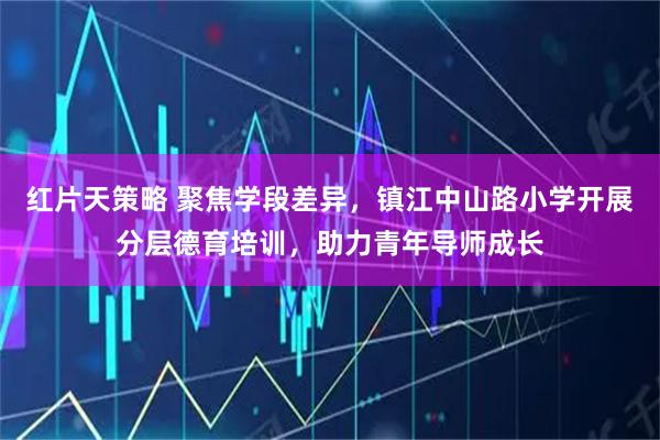 红片天策略 聚焦学段差异，镇江中山路小学开展分层德育培训，助力青年导师成长