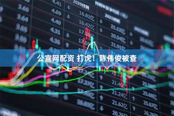 公宣网配资 打虎！陈伟俊被查