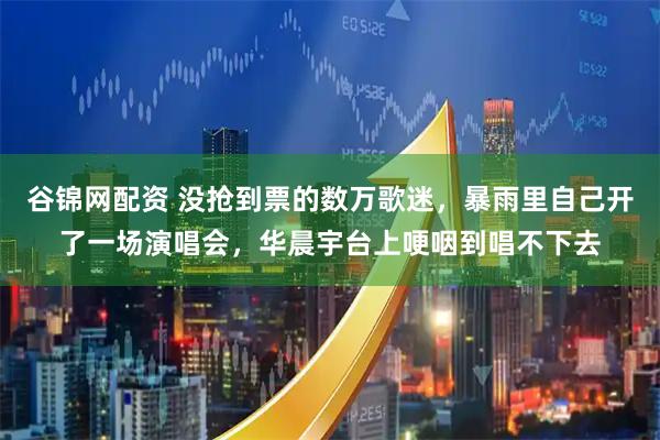谷锦网配资 没抢到票的数万歌迷，暴雨里自己开了一场演唱会，华晨宇台上哽咽到唱不下去
